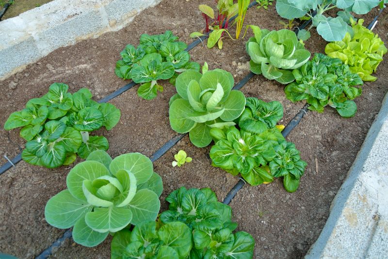 Subsurface Drainage Systems